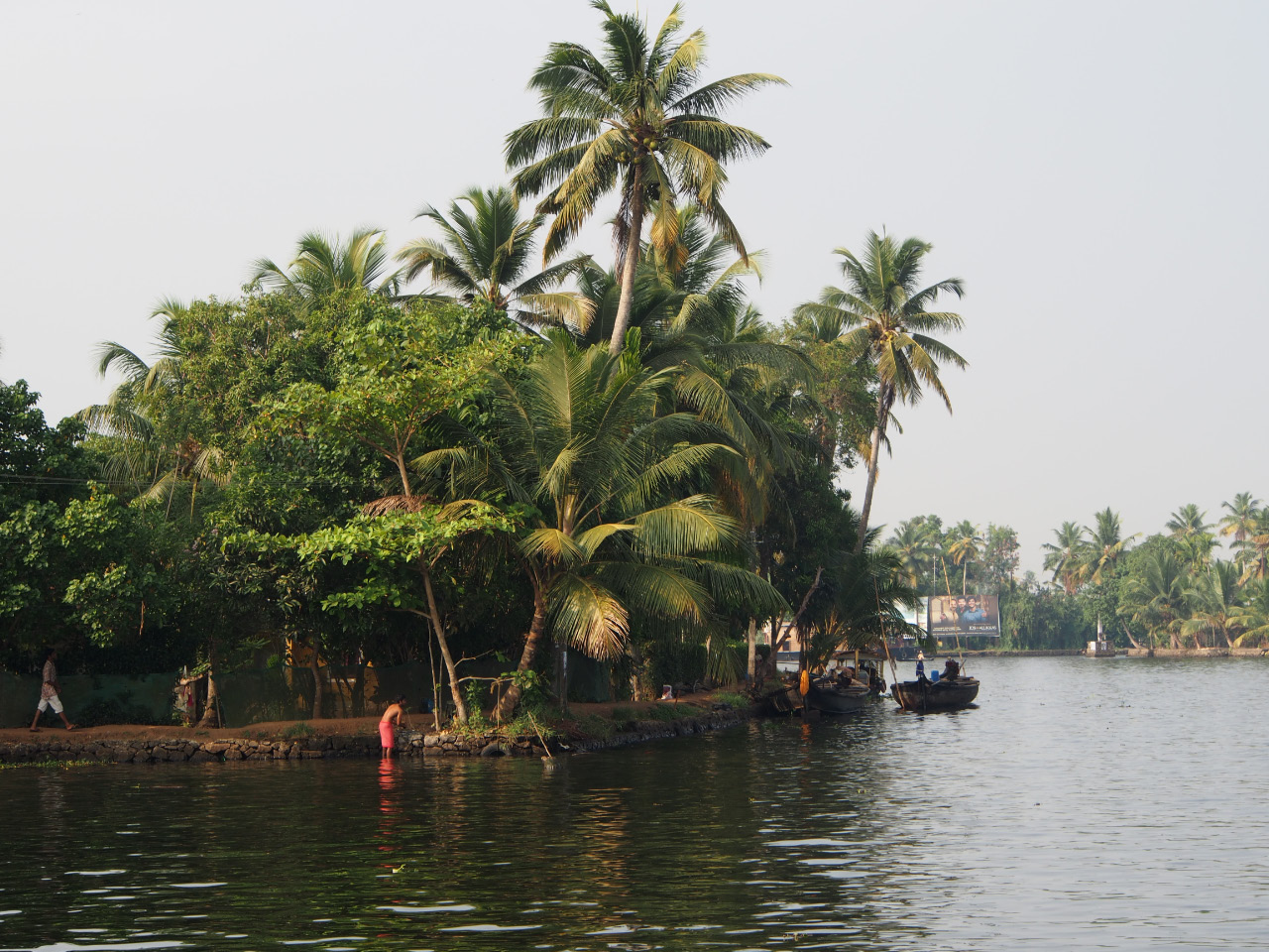 Promenade en bateau dans les caneaux vers Alappuzha (Alleppey) ( Promenade en bateau dans les caneaux vers Alappuzha